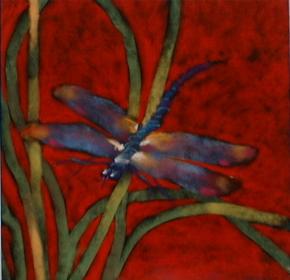 Dragonfly dreams... 20x20